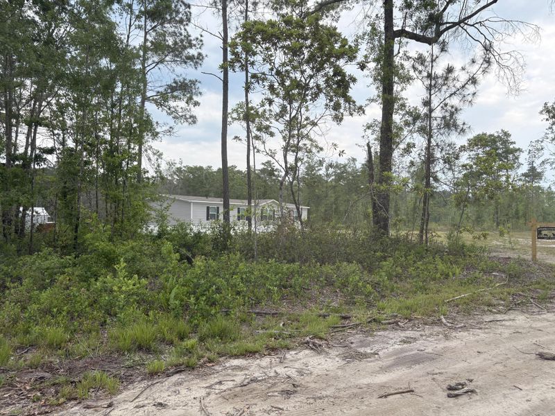 Natural landscape and outdoor views near  in Cottageville (Image 36).