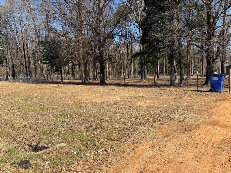 Natural landscape and outdoor views near  in Naples (Image 32).