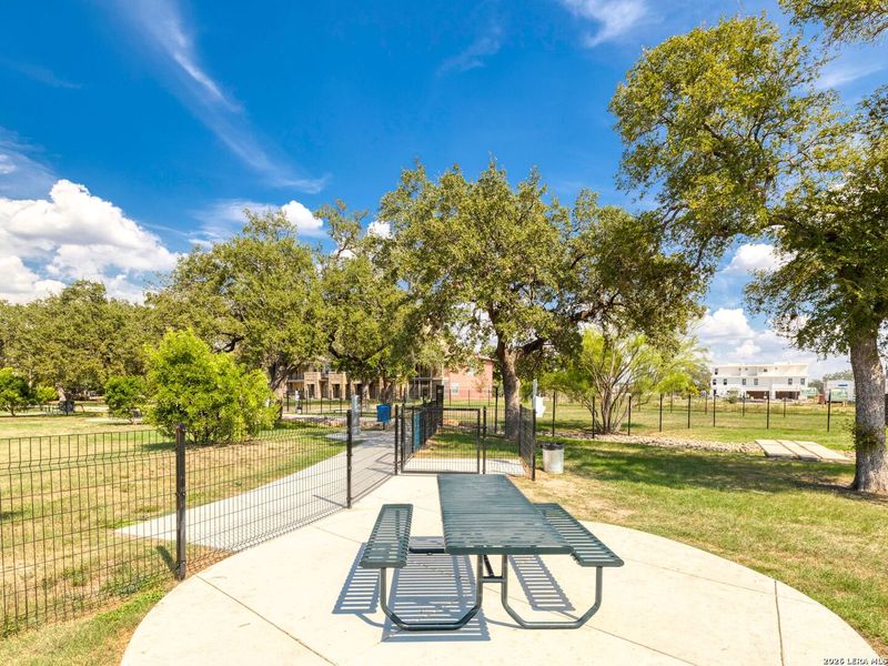 Community amenities in , San Antonio (Image 32).