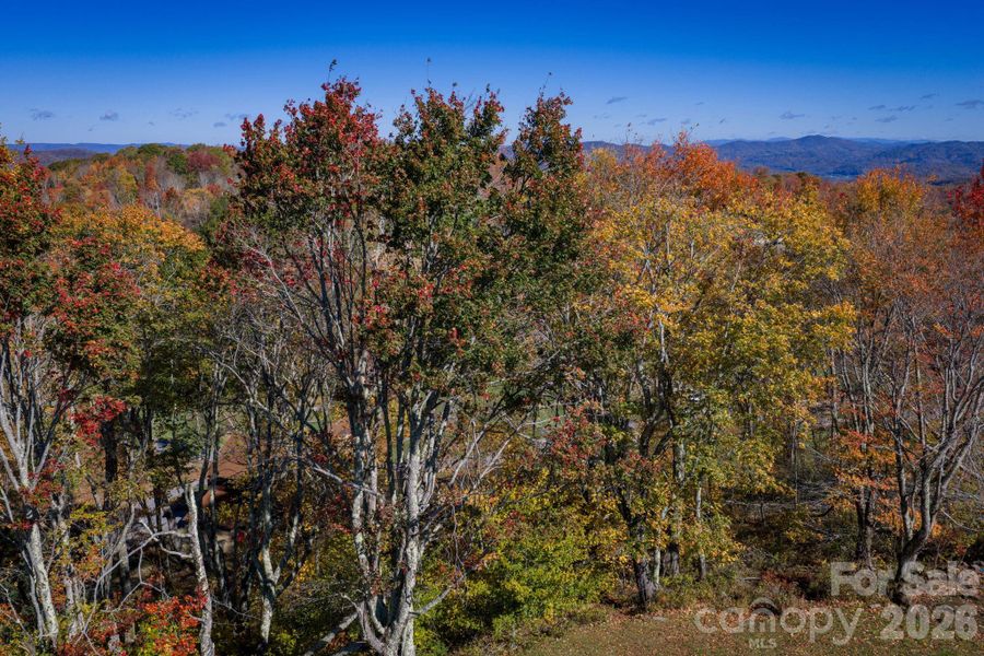Natural landscape and outdoor views near  in Banner Elk (Image 18).
