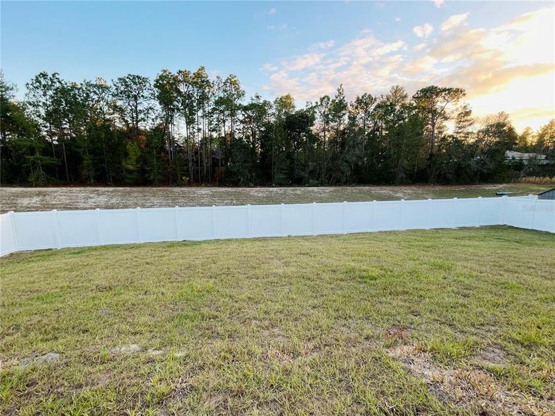 Natural landscape and outdoor views near  in Ocala (Image 30).