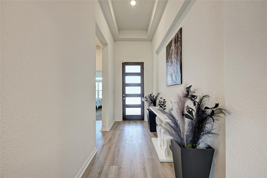 A well-lit entry hall with high tray ceilings and durable wood-look flooring welcomes you home.
