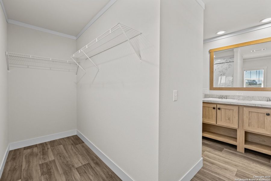 Spacious, unfurnished interior of a new home in , Somerset (Image 19).