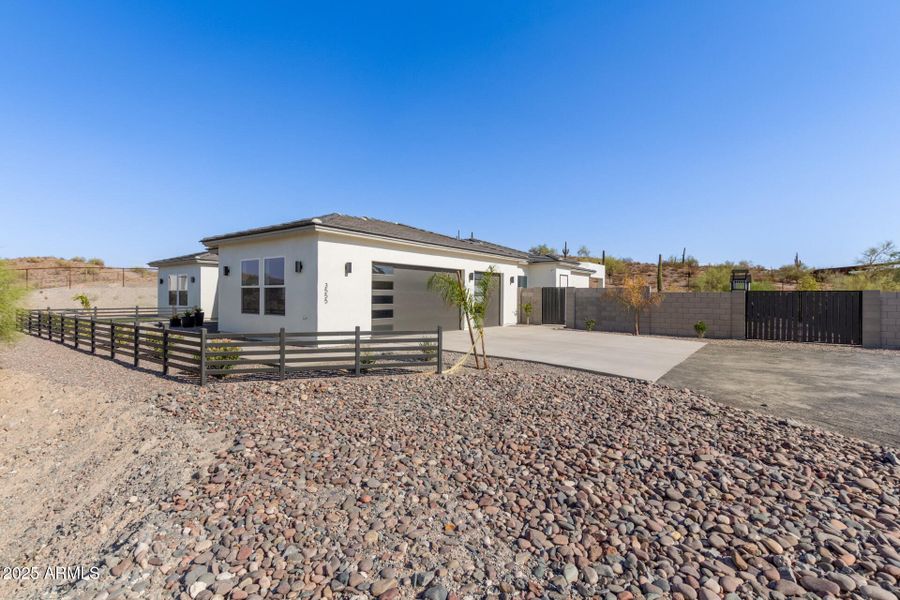 06 - Hummingbird 06 - Hummingbird