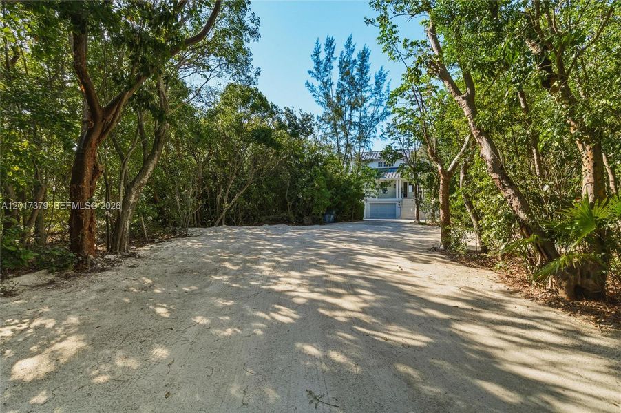 Natural landscape and outdoor views near  in Islamorada, Village of Islands (Image 84).