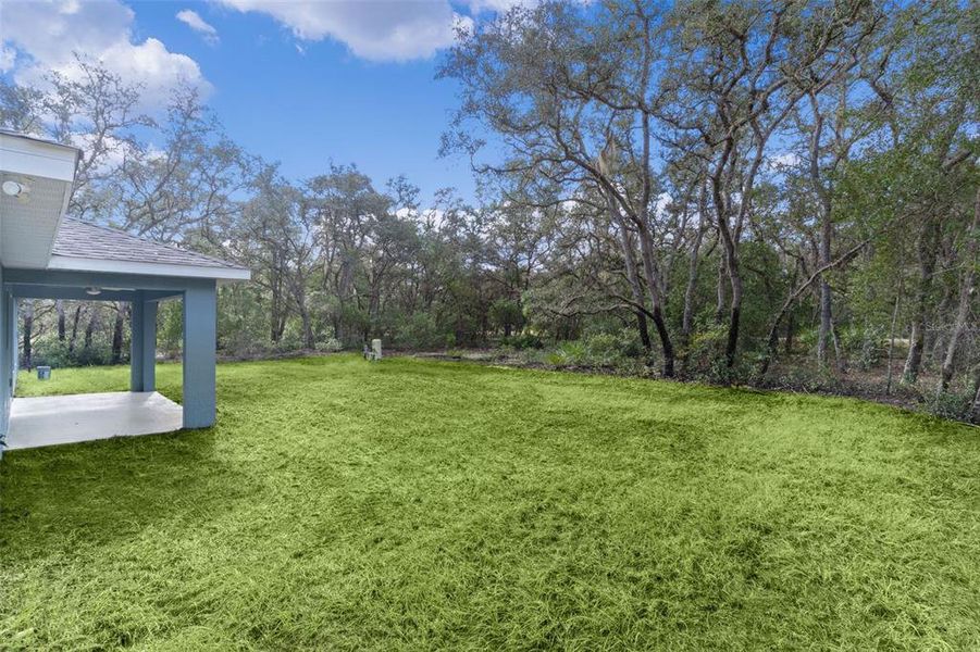 Natural landscape and outdoor views near  in Ocklawaha (Image 31).