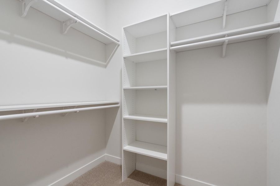 Walk-in closet featuring built-in shelving, multiple hanging rods, and carpet flooring