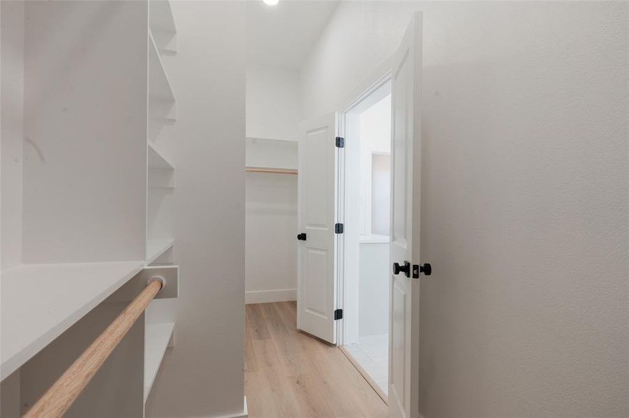 Walk in closet featuring light wood-type flooring