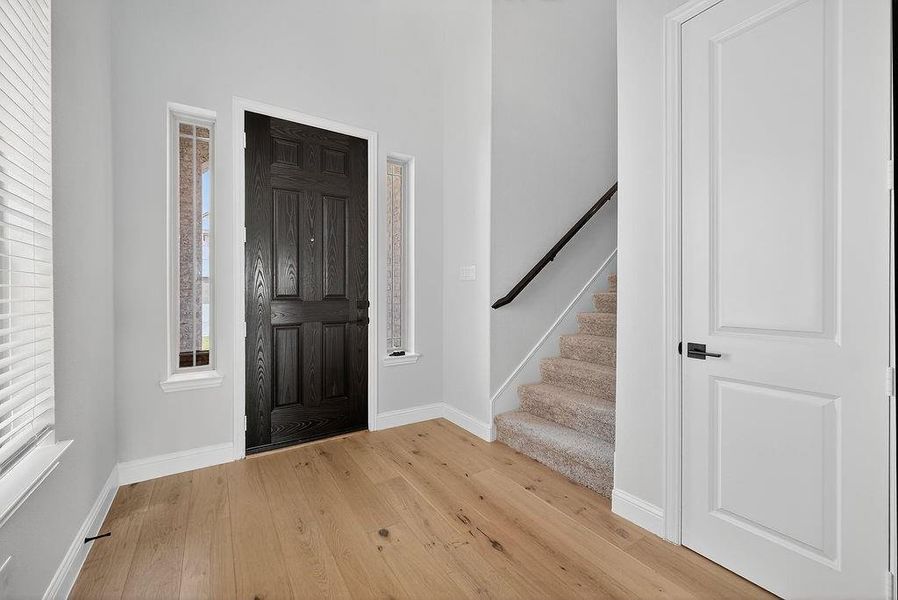Entryway featuring a dark wood-finish front door with vertical window panels, light wood-finish flooring, a carpeted staircase with dark handrail, and white paneled interior doors