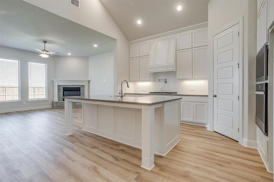 Kitchen with white cabinets, stainless steel appliances, light hardwood / wood-style floors, and a fireplace