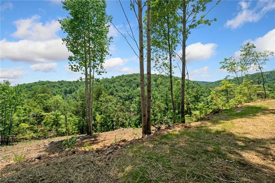 Natural landscape and outdoor views near  in Ranger (Image 40).