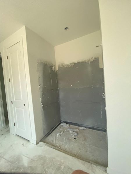 Walk-in Shower in Primary Bath