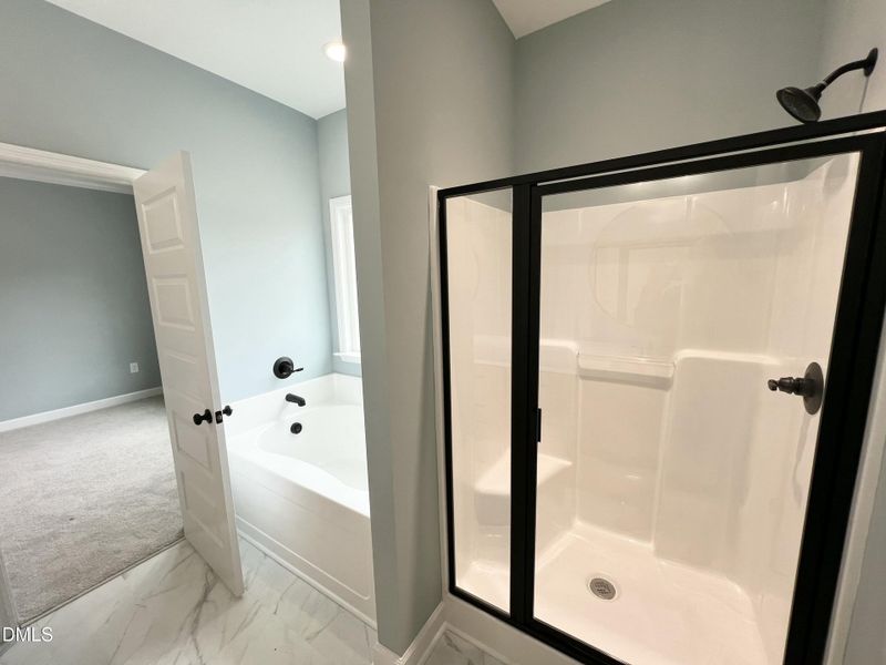 IMG_6981 2 IMG_6981 2