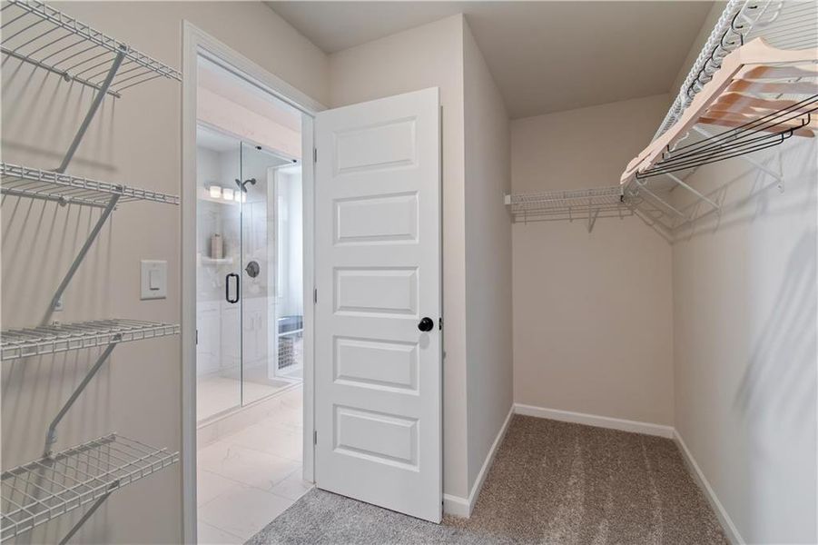 Spacious, unfurnished interior of a new home in Kentmere, Auburn (Image 22).
