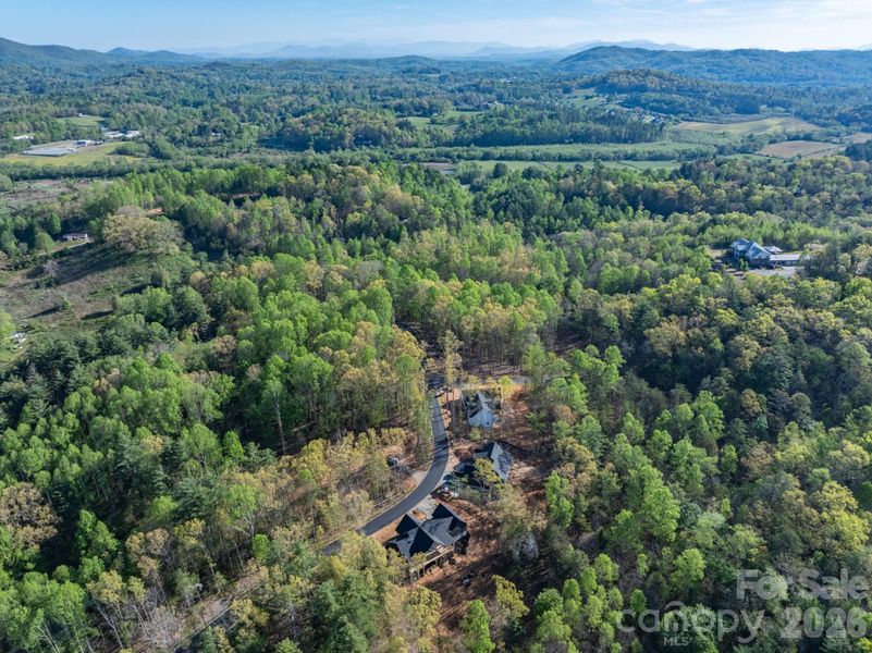 Natural landscape and outdoor views near  in Etowah (Image 25).