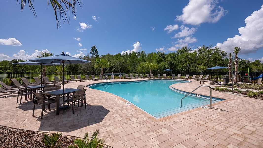 Community amenities in Firethorn, Parrish (Image 19).
