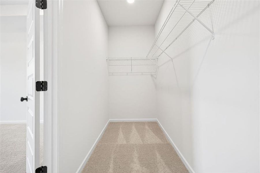 Spacious, unfurnished interior of a new home in Franklin Manor, Lawrenceville (Image 46).