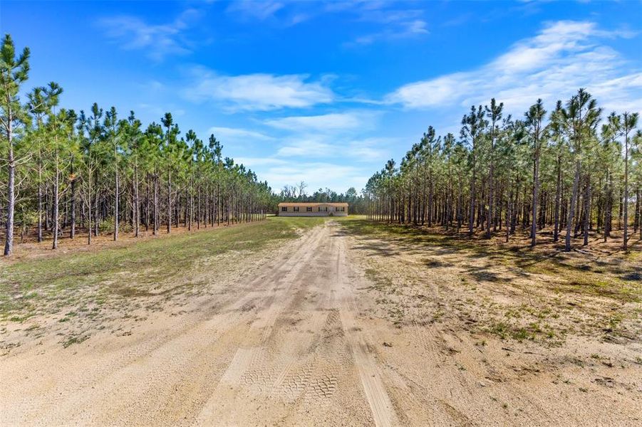 Natural landscape and outdoor views near  in Live Oak (Image 17).