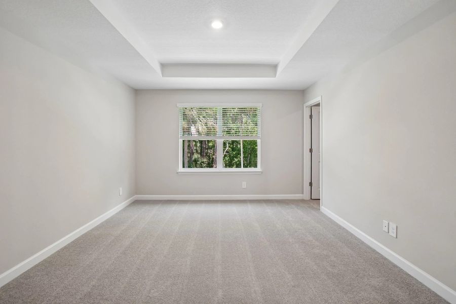 Primary bedroom featuring a tray ceiling and a beautiful view of the trees