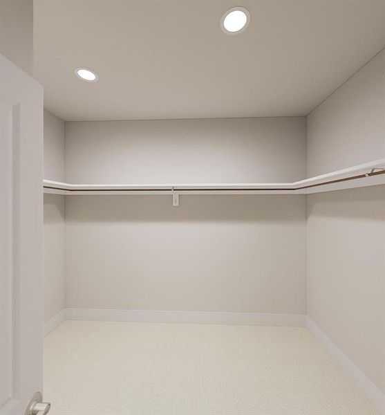 Discovery Collection at The Meadows Discovery Collection at The Meadows