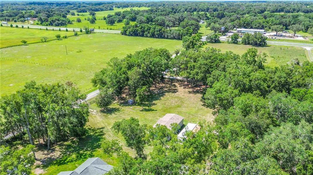 Natural landscape and outdoor views near  in Summerfield (Image 49).