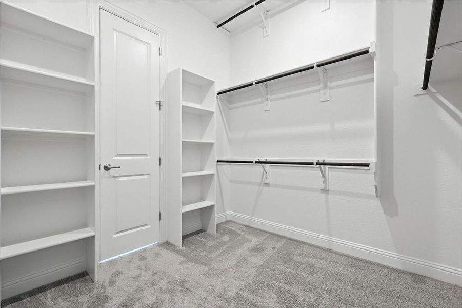 Walk in closet featuring carpet Walk in closet featuring carpet