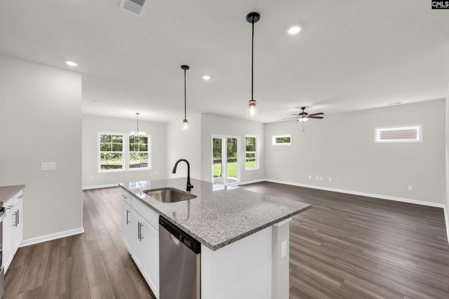 Furnished interior view inside a new home in Old Charleston Acres, Pelion (Image 4).