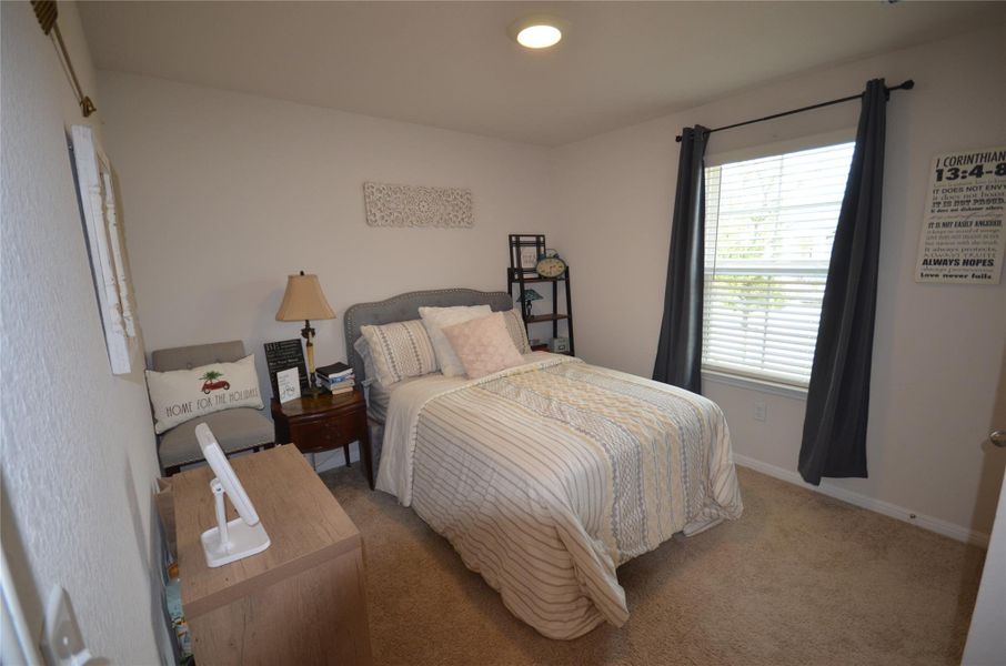 Carpeted bedroom with baseboards Carpeted bedroom with baseboards