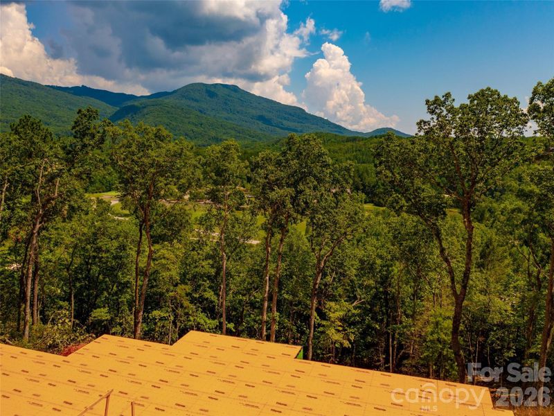 Natural landscape and outdoor views near  in Mill Spring (Image 29).
