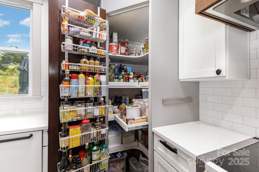 The kitchen features 2 large pantry spaces with roll-outs, these make access easy! The kitchen features 2 large pantry spaces with roll-outs, these make access easy!