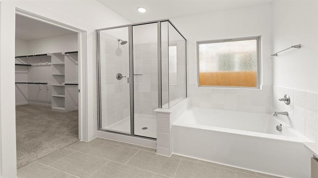 Olive Primary Bath 3