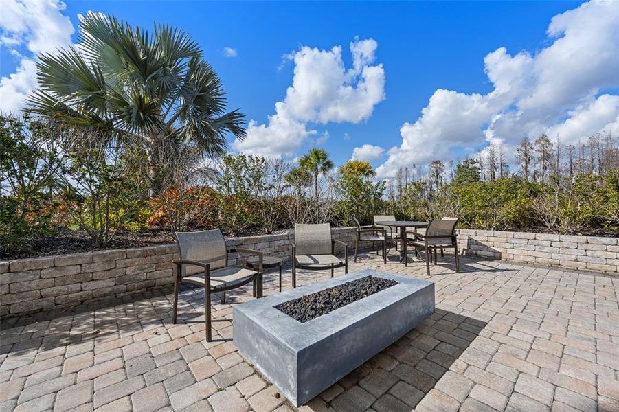 Community amenities in , Wesley Chapel (Image 42). Community amenities in , Wesley Chapel (Image 42).