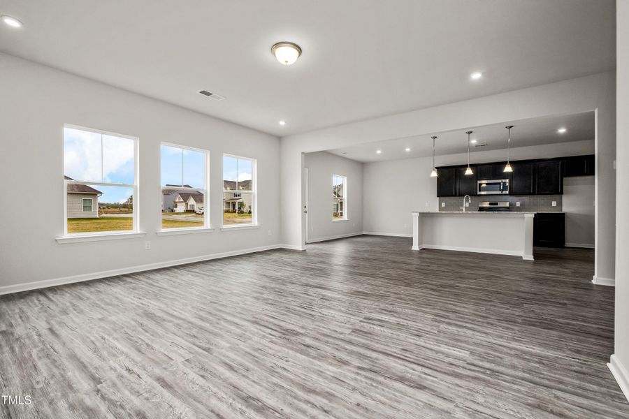 Family Room/Kitchen