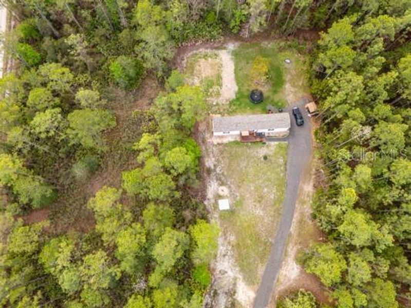 Natural landscape and outdoor views near in Bunnell (Image 23). Natural landscape and outdoor views near in Bunnell (Image 23).