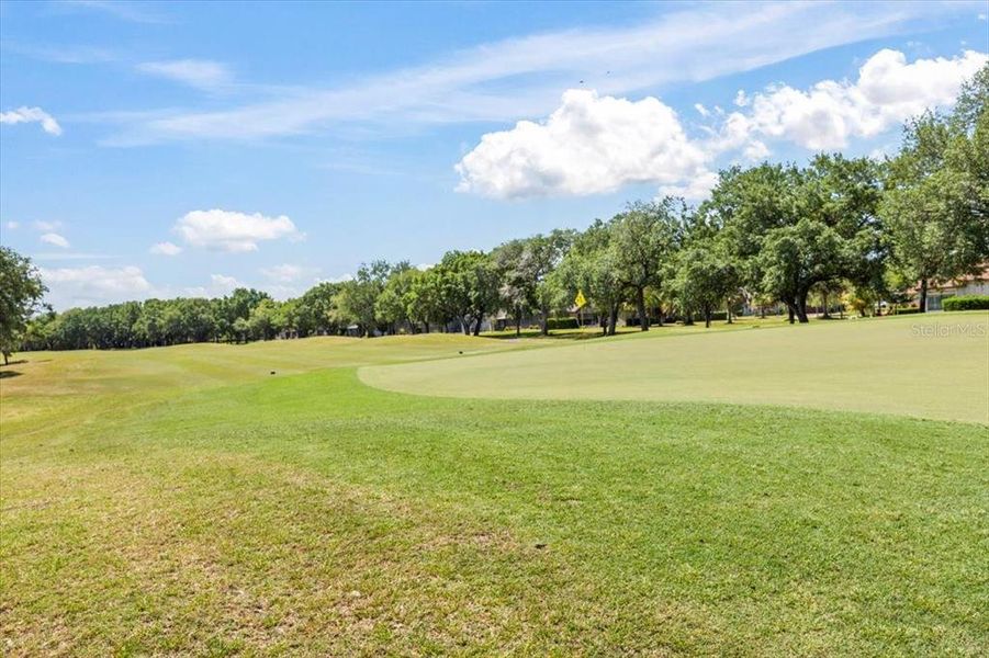 Natural landscape and outdoor views near Windchase at Halifax Plantation in Ormond Beach (Image 56). Natural landscape and outdoor views near Windchase at Halifax Plantation in Ormond Beach (Image 56).