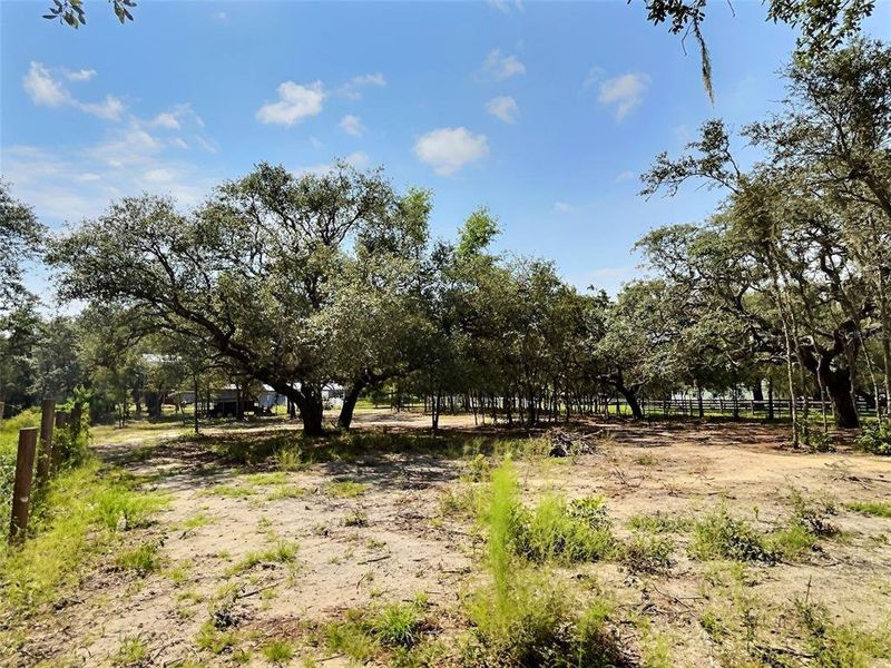Natural landscape and outdoor views near  in Hudson (Image 26).