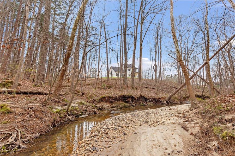 Natural landscape and outdoor views near  in Dallas (Image 47).