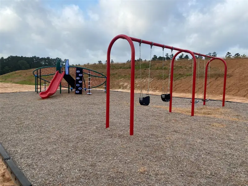 Community amenities in McCrorey Trails, Conroe (Image 8).