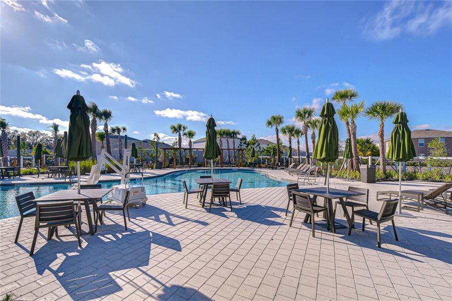 Community amenities in , Zephyrhills (Image 54). Community amenities in , Zephyrhills (Image 54).