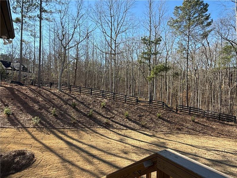 Exterior details and patio area of a home in River Rock, Ball Ground (Image 26).