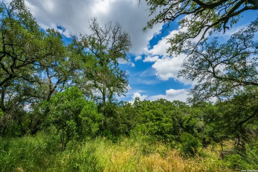 Natural landscape and outdoor views near in Crystal City (Image 13). Natural landscape and outdoor views near in Crystal City (Image 13).