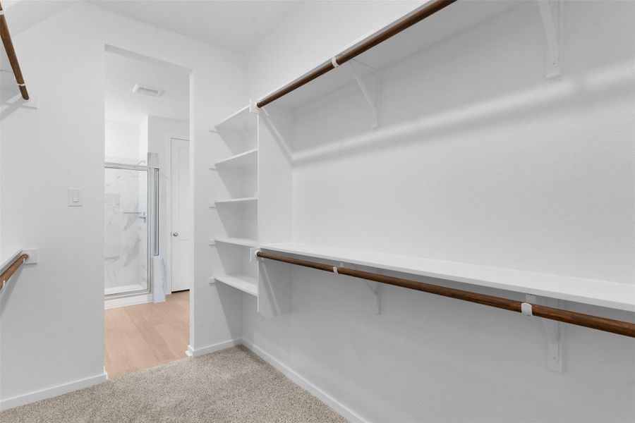 Spacious closet with light carpet Spacious closet with light carpet