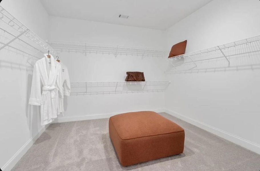 Spacious, unfurnished interior of a new home in Bailey Fence, Dacula (Image 51).