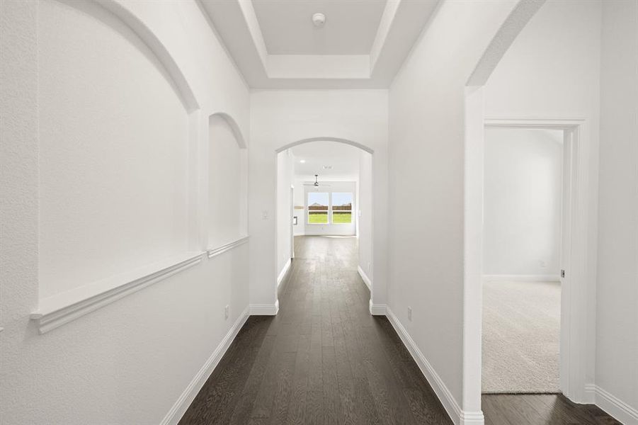 1_121 Grey wolf- Entry-2