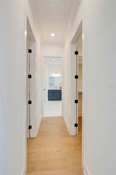 Spacious, unfurnished interior of a new home in , Tampa (Image 25).
