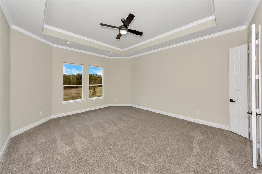 Carpeted spare room with a tray ceiling, ceiling fan, and ornamental molding