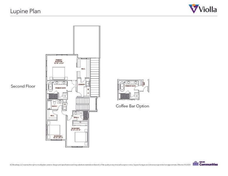 Lupine Second Level Lupine Second Level
