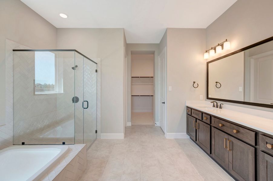 Owner's Bath