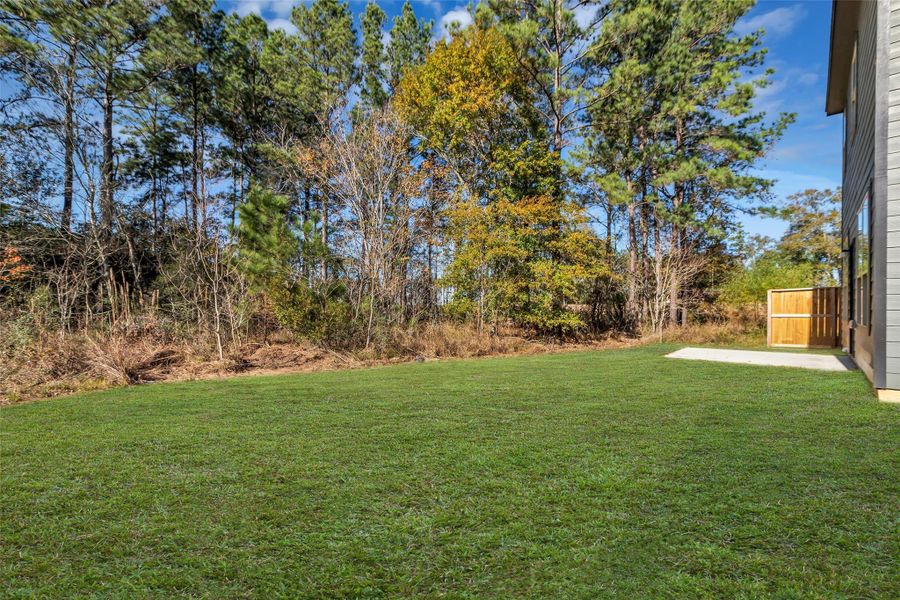 Natural landscape and outdoor views near  in Cleveland (Image 33).