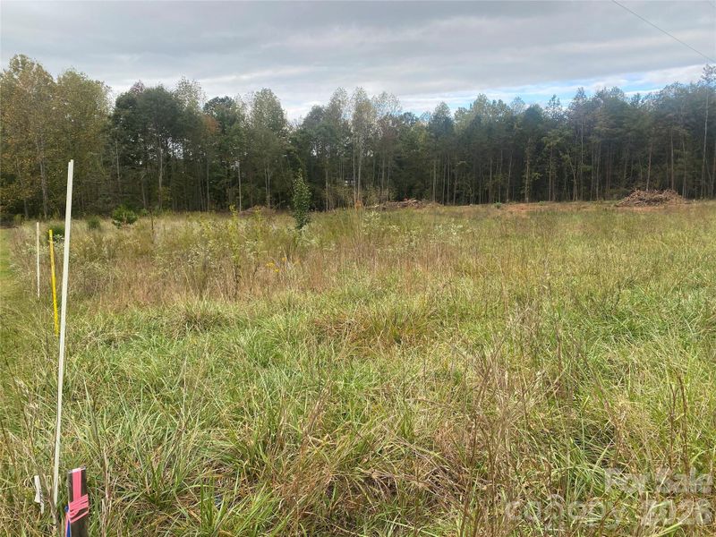 Natural landscape and outdoor views near  in Forest City (Image 20).